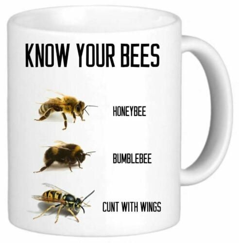 Funny Mug Office Mugs Secret Santa Gift Rude Novelty Know Your Bees