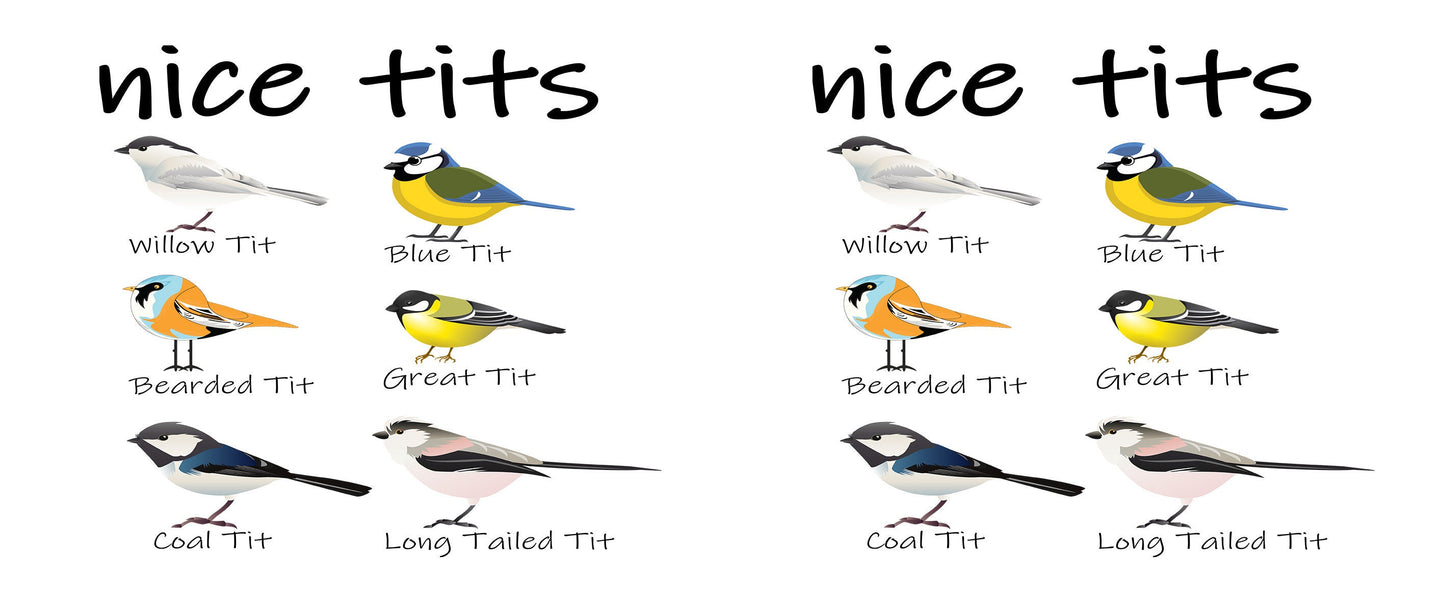 Nice Tits Bird Mug