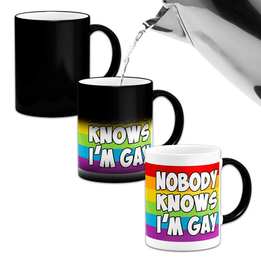 Nobody Knows I'M Gay Heat Colour Changing Mug