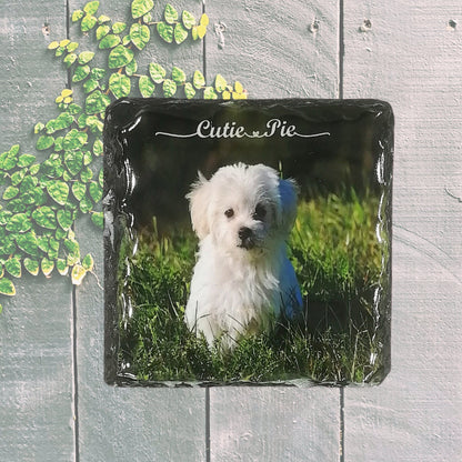 Personalised Drink Coasters Up To A Set Of 4, Rock Slate, Custom Slate Photo Coaster Using Your Own Photos