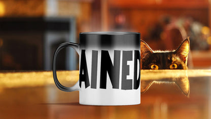 Rude Funny C handle Colour Change Black Heat Mugs - Novelty Office Joke Mug Gift