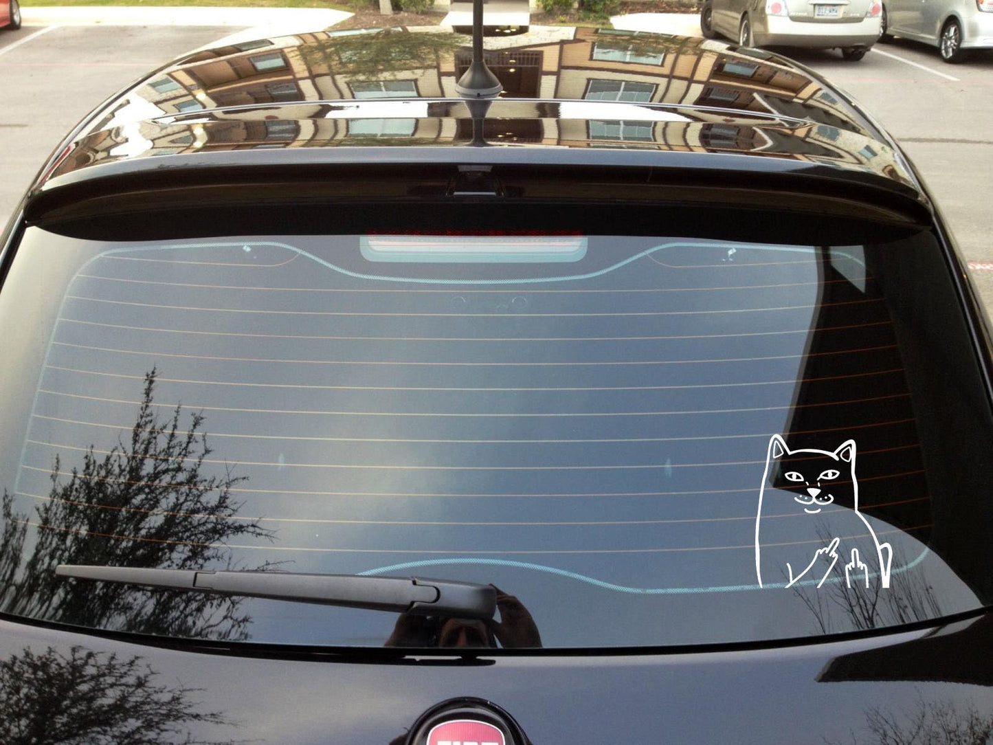 Funny Cat Middle Finger Vinyl Decal