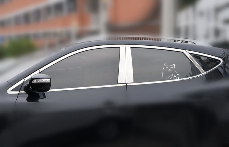 Funny Cat Middle Finger Vinyl Decal